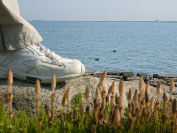 琵琶湖2